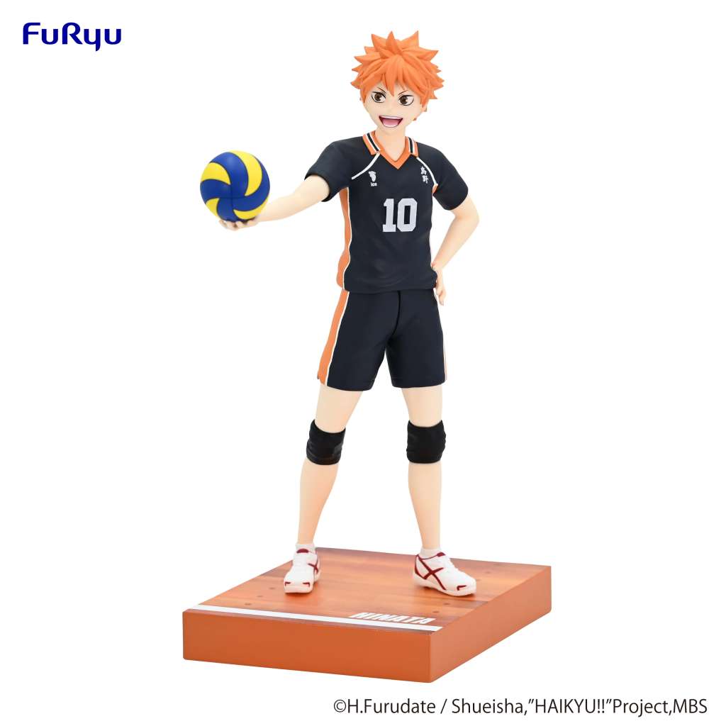 Haikyu Shoyo Hinata Figure