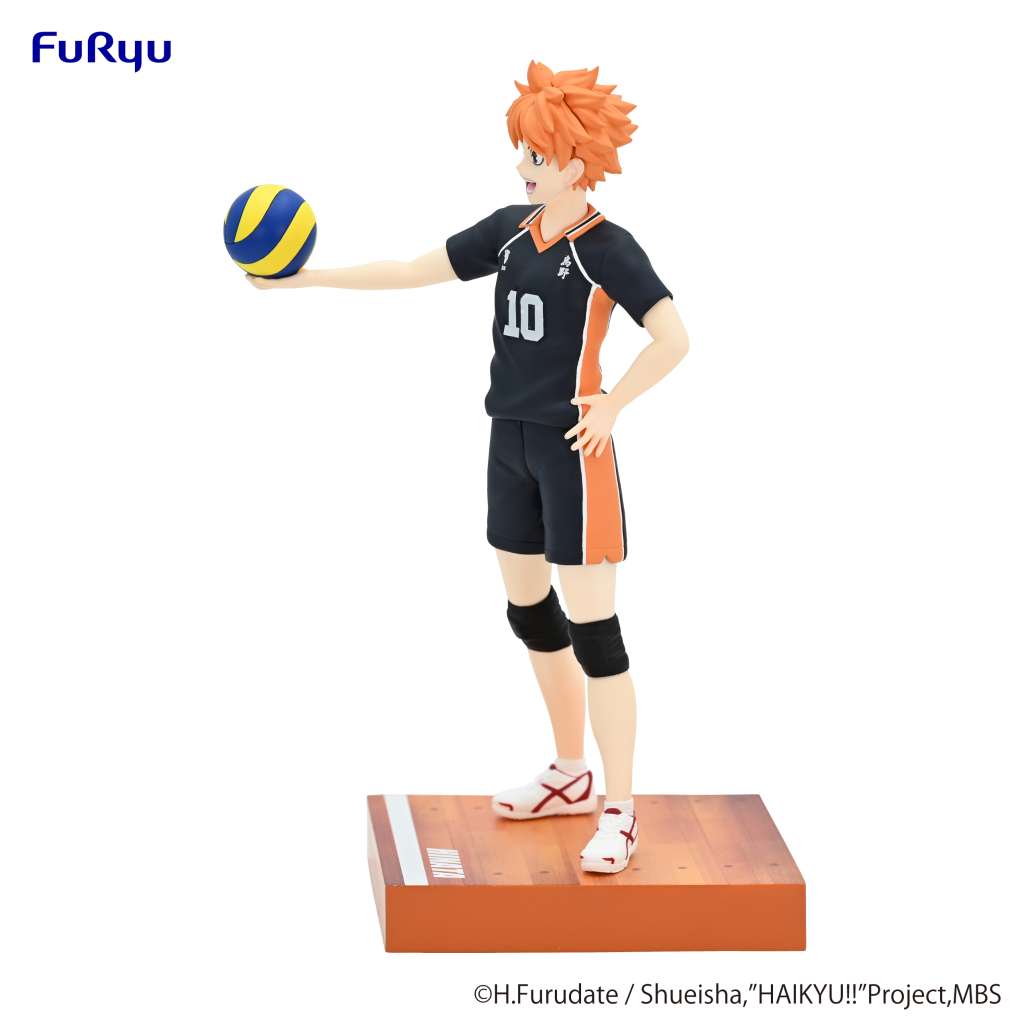 Haikyu Shoyo Hinata Figure