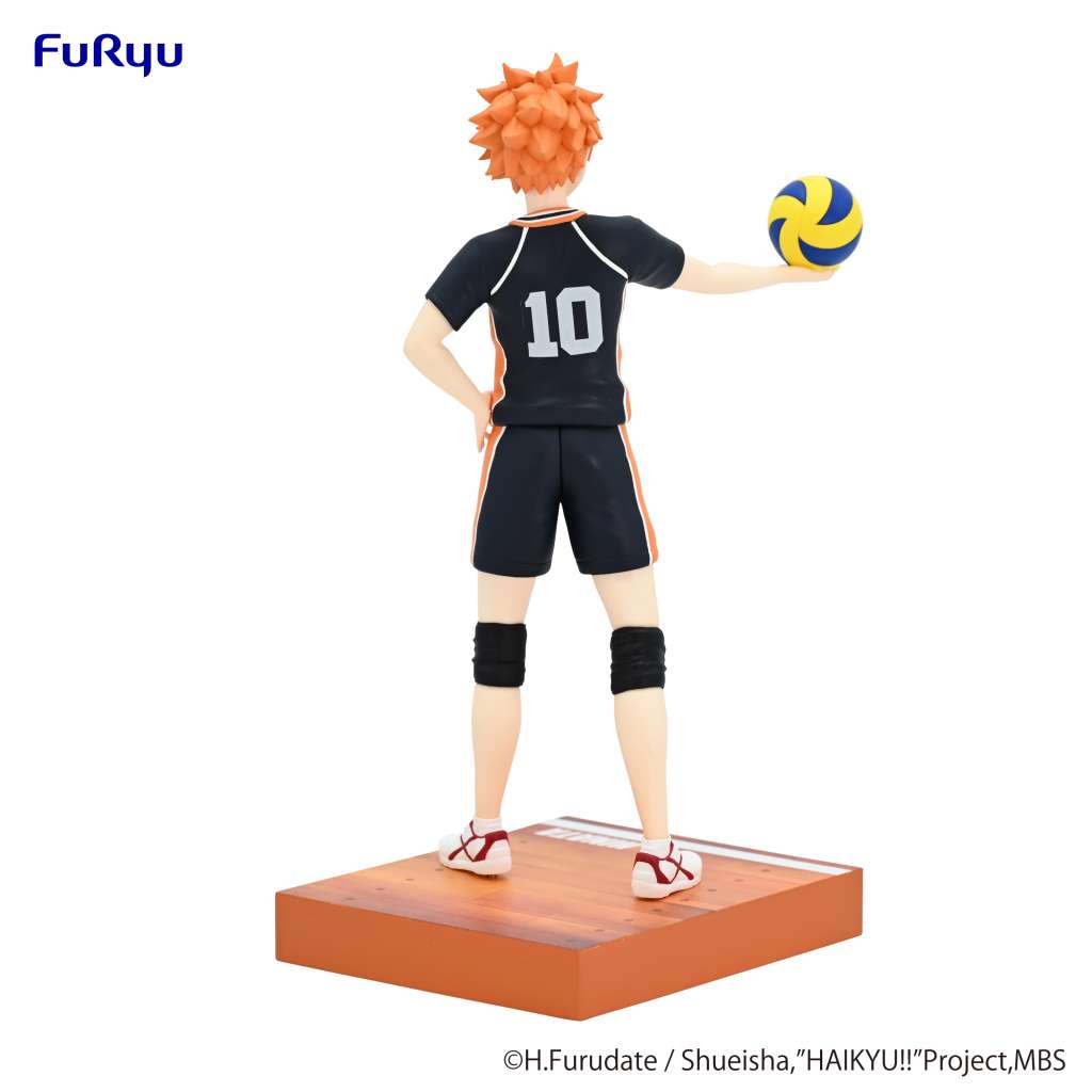 Haikyu Shoyo Hinata Figure