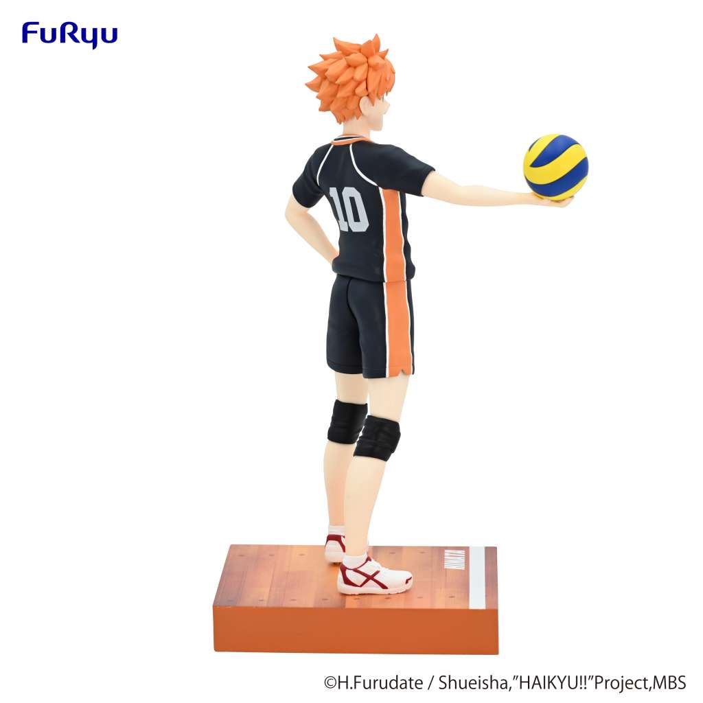 Haikyu Shoyo Hinata Figure