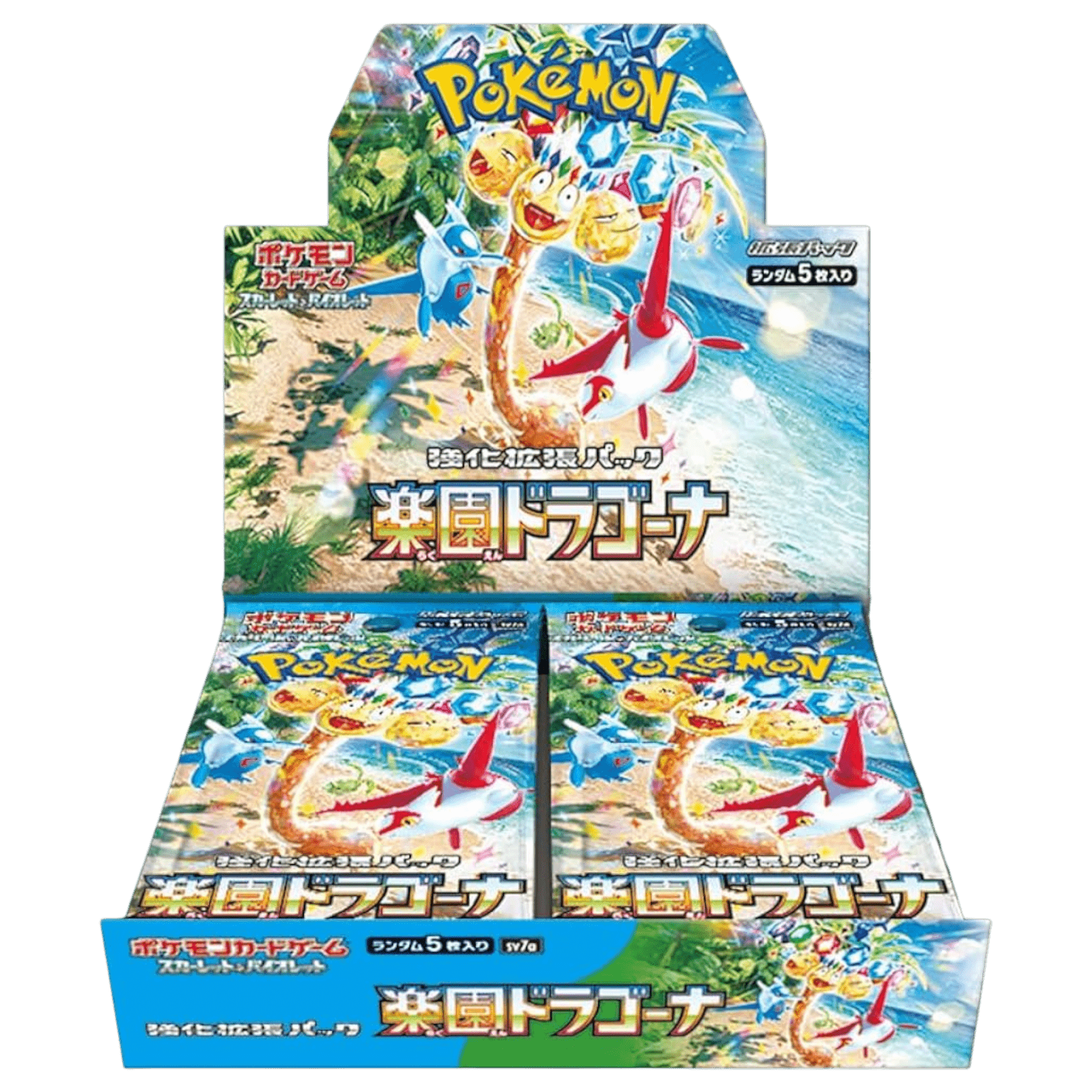 Sezione JP PKM –  Paradise Dragona